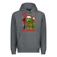 Rock my first christmas dragon Premium Hoodie - FaDigitalArtStudio