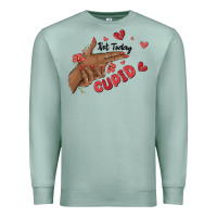 Seafoam not today cupid Premium Sweatshirt - MaliasSmallBusiness