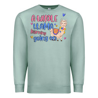 Seafoam a whole llama learning going on Premium Sweatshirt - MaliasSmallBusiness