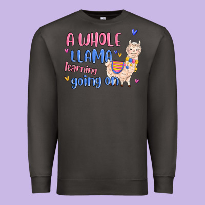 Premium Sweatshirt a whole llama learning going on