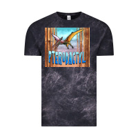 Cloud Black dinosaur pterodactyl Vintage Tee - Artiststas