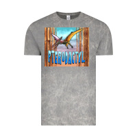 Cloud Rock dinosaur pterodactyl Vintage Tee - Artiststas
