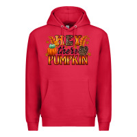 Cardinal hey there pumpkin Premium Hoodie - RacoonDesign