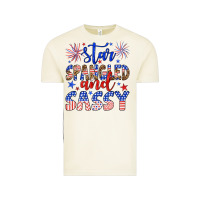Vintage Arctic star spangled and sassy Vintage Tee - Artiststas