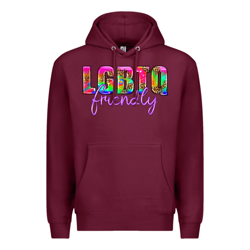 Lgbtq Friendly Premium Hoodie by HRA Design Shop | Teevron