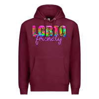 Burgundy lgbtq friendly Premium Hoodie - HRA Design Shop