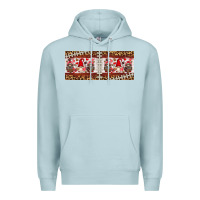 Blue Mist american football gnome 11oz mug Premium Hoodie - HRA Design Shop
