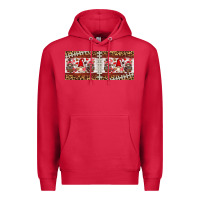 Cardinal american football gnome 11oz mug Premium Hoodie - HRA Design Shop