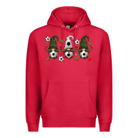 Cardinal soccer gnome Premium Hoodie - HRA Design Shop