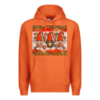 Carrot basketball gnome Premium Hoodie - HRA Design Shop