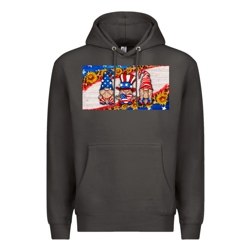 Usa Gnome License Plate Premium Hoodie by HRA Design Shop | Teevron