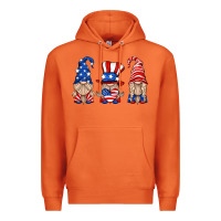Carrot usa gnome Premium Hoodie - HRA Design Shop