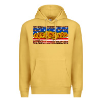 Antique Gold usa flag sunflowers license plate Premium Hoodie - HRA Design Shop