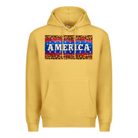 Antique Gold america license plate Premium Hoodie - HRA Design Shop
