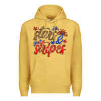 Antique Gold stars and stripes Premium Hoodie - HRA Design Shop