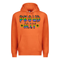 Proud Ally Premium Hoodie | Teevron