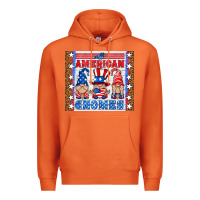 Carrot all american gnomes Premium Hoodie - HRA Design Shop
