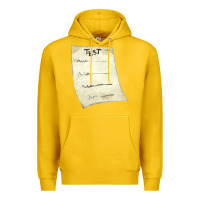 Lemon test sheet fa element Premium Hoodie - FaDigitalArtStudio