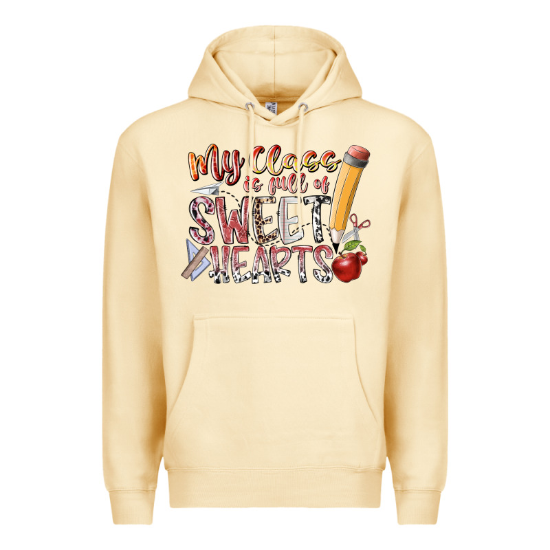 My Class Is Full Of Sweet Hearts Premium Hoodie by RacoonDesign | Teevron