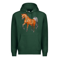 Sports Green horse Premium Hoodie - FaDigitalArtStudio