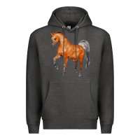 Charcoal Heather horse Premium Hoodie - FaDigitalArtStudio
