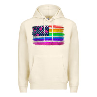 Tofu american flag and lgbt flag  background Premium Hoodie - HRA Design Shop