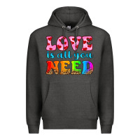 Love Is All You Need Premium Hoodie | Teevron