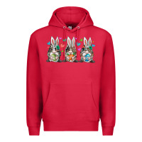Cardinal western bunny gnome Premium Hoodie - RacoonDesign