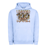 Pigment Grape Ice i survived 100 wild days of school Urban Hoodie - RacoonDesign
