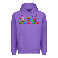 Purple lgbtq gnome  libbey glass Premium Hoodie - HRA Design Shop