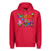 Cardinal lgbtq love is love gnomes Premium Hoodie - HRA Design Shop