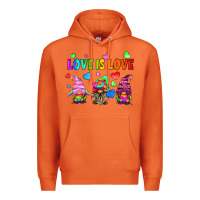 Carrot lgbtq love is love gnomes Premium Hoodie - HRA Design Shop