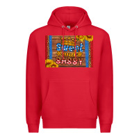Red usa sweet and sassy skinny metal can holder Premium Hoodie - HRA Design Shop