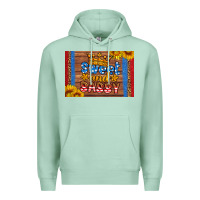 Seafoam usa sweet and sassy skinny metal can holder Premium Hoodie - HRA Design Shop