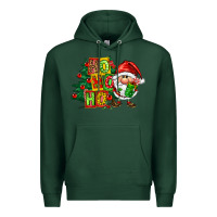 Sports Green ho ho ho santa gnomes Premium Hoodie - FaDigitalArtStudio