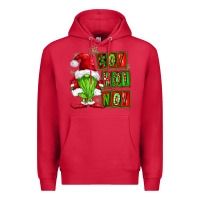 Cardinal ho ho no christmas gnomes Premium Hoodie - FaDigitalArtStudio