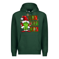 Sports Green ho ho no christmas gnomes Premium Hoodie - FaDigitalArtStudio