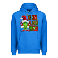 True Royal ho ho no christmas gnomes Premium Hoodie - FaDigitalArtStudio