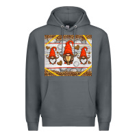 Rock western volleyball gnome Premium Hoodie - HRA Design Shop