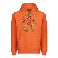 Carrot im the sarcastic elf Premium Hoodie - FaDigitalArtStudio
