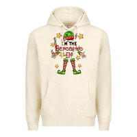 Tofu im the sarcastic elf Premium Hoodie - FaDigitalArtStudio