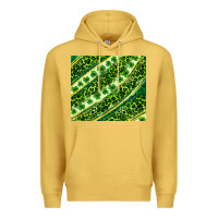 Antique Gold St. Patrick's Day leopard tumbler Premium Hoodie - Neo Western