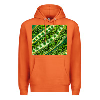 Carrot St. Patrick's Day leopard tumbler Premium Hoodie - Neo Western