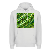 Dove Grey St. Patrick's Day leopard tumbler Premium Hoodie - Neo Western