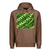 Chestnut St. Patrick's Day leopard tumbler Premium Hoodie - Neo Western