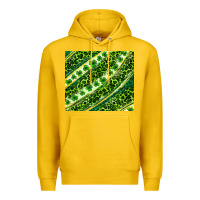 Lemon St. Patrick's Day leopard tumbler Premium Hoodie - Neo Western