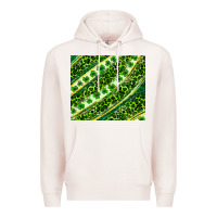 Pale Pink St. Patrick's Day leopard tumbler Premium Hoodie - Neo Western