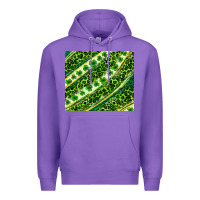 St. Patrick's Day Leopard Tumbler Premium Hoodie | Teevron