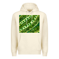 Sandshell St. Patrick's Day leopard tumbler Premium Hoodie - Neo Western