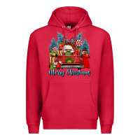 Cardinal merry christmas gnomes truck Premium Hoodie - FaDigitalArtStudio
